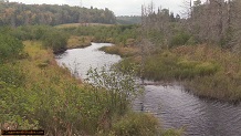 Trout stream in Michigan upper peninsual