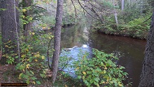 Trout stream in Michigan upper peninsual