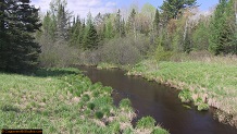 Trout stream in Michigan upper peninsual