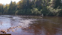 Trout stream in Michigan upper peninsual