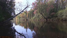 Trout stream in Michigan upper peninsual