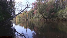 Trout stream in Michigan upper peninsual