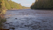 Trout stream in Michigan upper peninsual