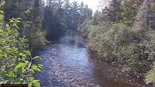 Trout stream in Michigan upper peninsual