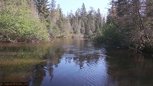 Trout stream in Michigan upper peninsual