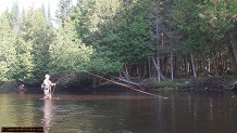 Trout stream in Michigan upper peninsual