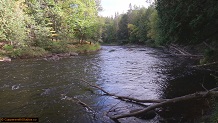 Trout stream in Michigan upper peninsual