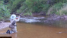 Trout stream in Michigan upper peninsual