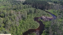 Trout stream in Michigan upper peninsual