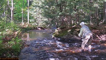 Trout stream in Michigan upper peninsual