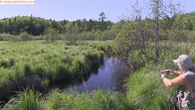 Trout stream in Michigan upper peninsual