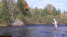 Trout stream in Michigan upper peninsual