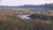 Trout stream in Michigan upper peninsual