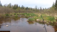 Trout stream in Michigan upper peninsual