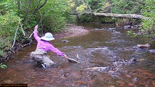 Trout stream in Michigan upper peninsual