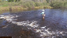 Trout stream in Michigan upper peninsual