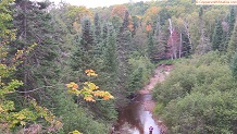 Trout stream in Michigan upper peninsual