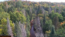 Trout stream in Michigan upper peninsual