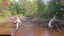 Trout stream in Michigan upper peninsual