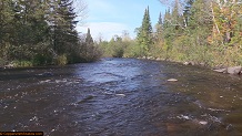 Trout stream in Michigan upper peninsual