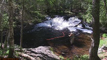 Trout stream in Michigan upper peninsual