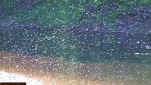 Trout stream in Michigan upper peninsual