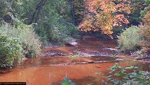 Trout stream in Michigan upper peninsual