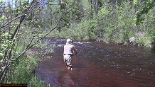 Trout stream in Michigan upper peninsual