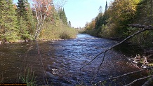 Trout stream in Michigan upper peninsual