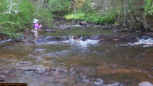 Trout stream in Michigan upper peninsual