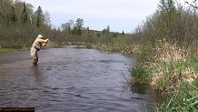 Trout stream in Michigan upper peninsual