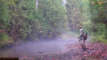 Trout stream in Michigan upper peninsual