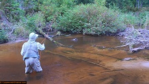 Trout stream in Michigan upper peninsual