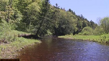 Trout stream in Michigan upper peninsual