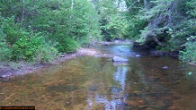 Trout stream in Michigan upper peninsual