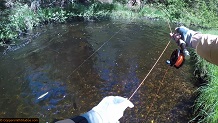 Trout stream in Michigan upper peninsual