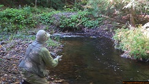 Trout stream in Michigan upper peninsual