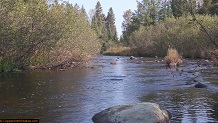 Trout stream in Michigan upper peninsual