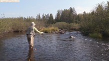 Trout stream in Michigan upper peninsual