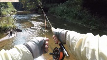 Trout stream in Michigan upper peninsual