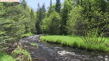 Trout stream in Michigan upper peninsual