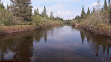 Trout stream in Michigan upper peninsual