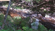 Trout stream in Michigan upper peninsual