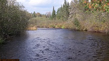 Trout stream in Michigan upper peninsual