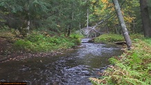 Trout stream in Michigan upper peninsual