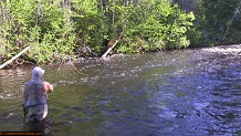 Trout stream in Michigan upper peninsual