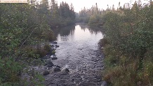 Trout stream in Michigan upper peninsual