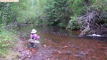 Trout stream in Michigan upper peninsual