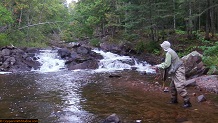 Trout stream in Michigan upper peninsual