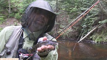 Trout stream in Michigan upper peninsual